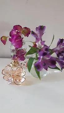 ベッド・アンド・ブレックファスト Het Woonrijk